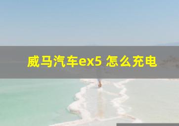 威马汽车ex5 怎么充电